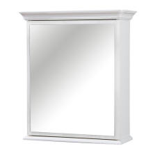 Bathroom Mirror Cabinet Furniture